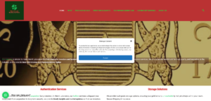 Best Tech Agency in Central Africa