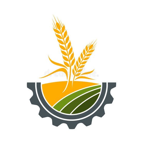 Best Organic White Heart SEO Providers